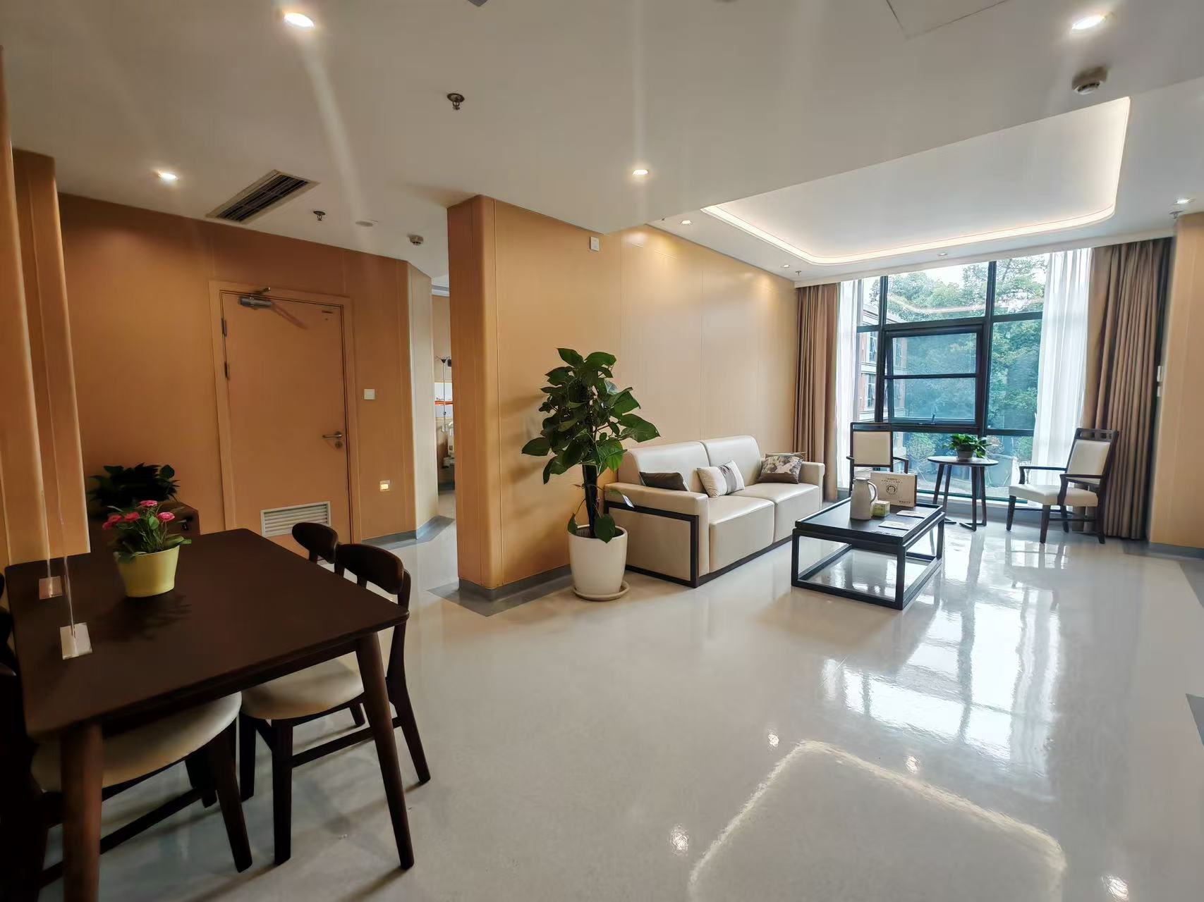 Suite-style Recovery Apartment